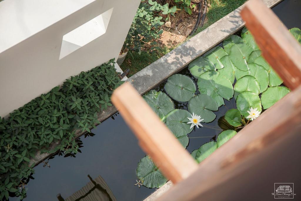 The Home Chiangmai Luxury Guesthouse 치앙마이 외부 사진