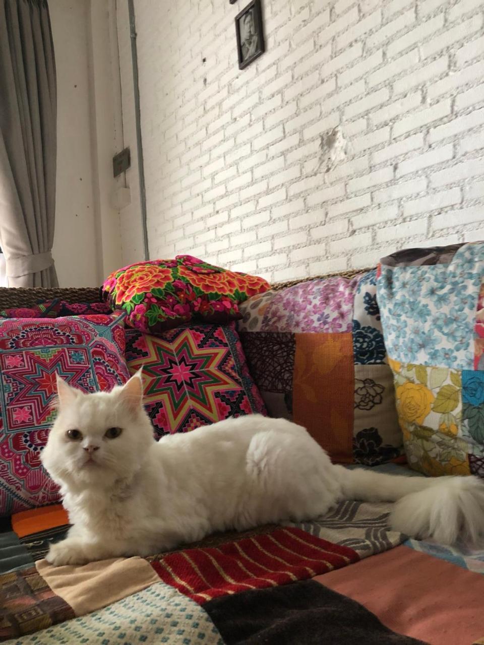 The Home Chiangmai Luxury Guesthouse 치앙마이 외부 사진